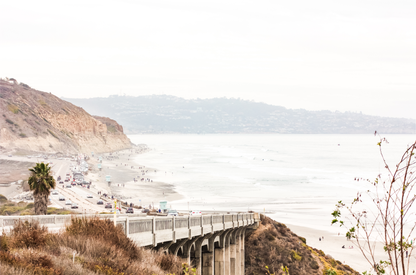 Captivating San Diego coast scene, presented as horizontal beach art. This piece of travel photography features a prominent bridge extending over a wide sandy beach with calm ocean waves. A coastal road winds along the base of rugged cliffs, with a lone coastal palm tree adding a touch of tropical essence to this Southern California seascape print.