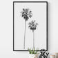 Palms 4850