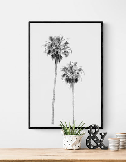 Minimalist palm tree print in black and white, showcasing two tall palm trees against a bright background. This vertical wall art is a coastal palm tree print. Photograph in minimalist mock up.