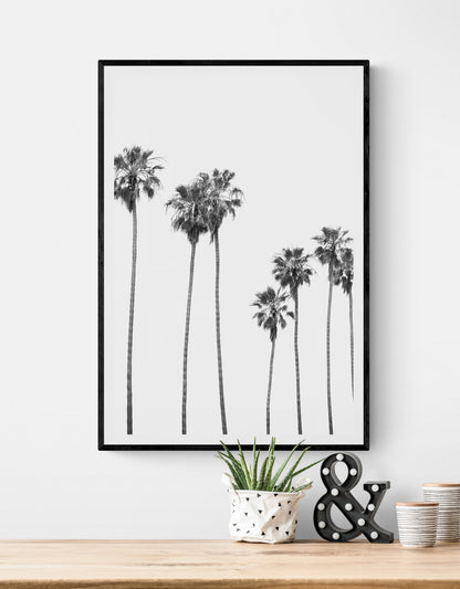 Minimalist palm tree print in black and white, showcasing a line of tall palm trees against a bright background. This vertical wall art is a coastal palm tree print. Photograph in minimalist mock up.