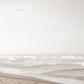Oceanside 3005