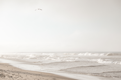 Minimalist ocean print featuring gentle ocean waves breaking on a sandy beach under a bright, hazy sky with a single bird in flight. A serene and neutral ocean print. 