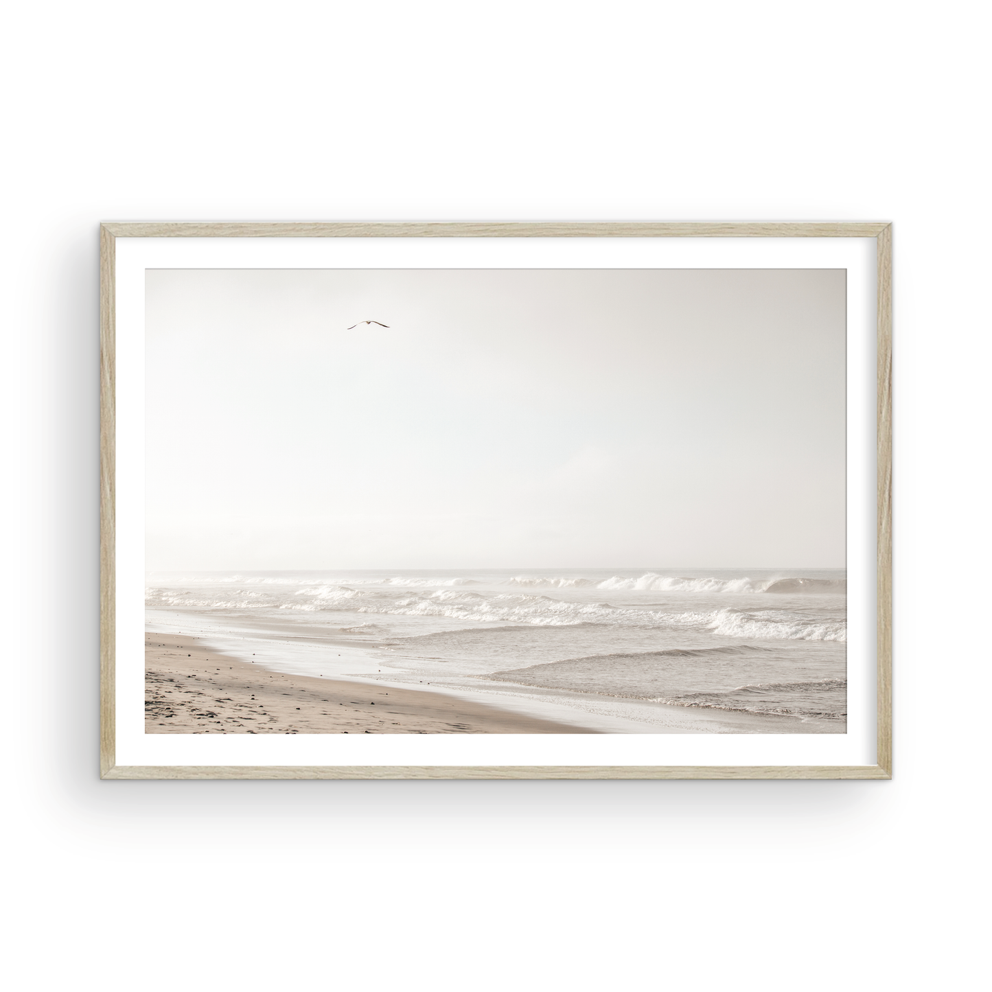 Oceanside 3005