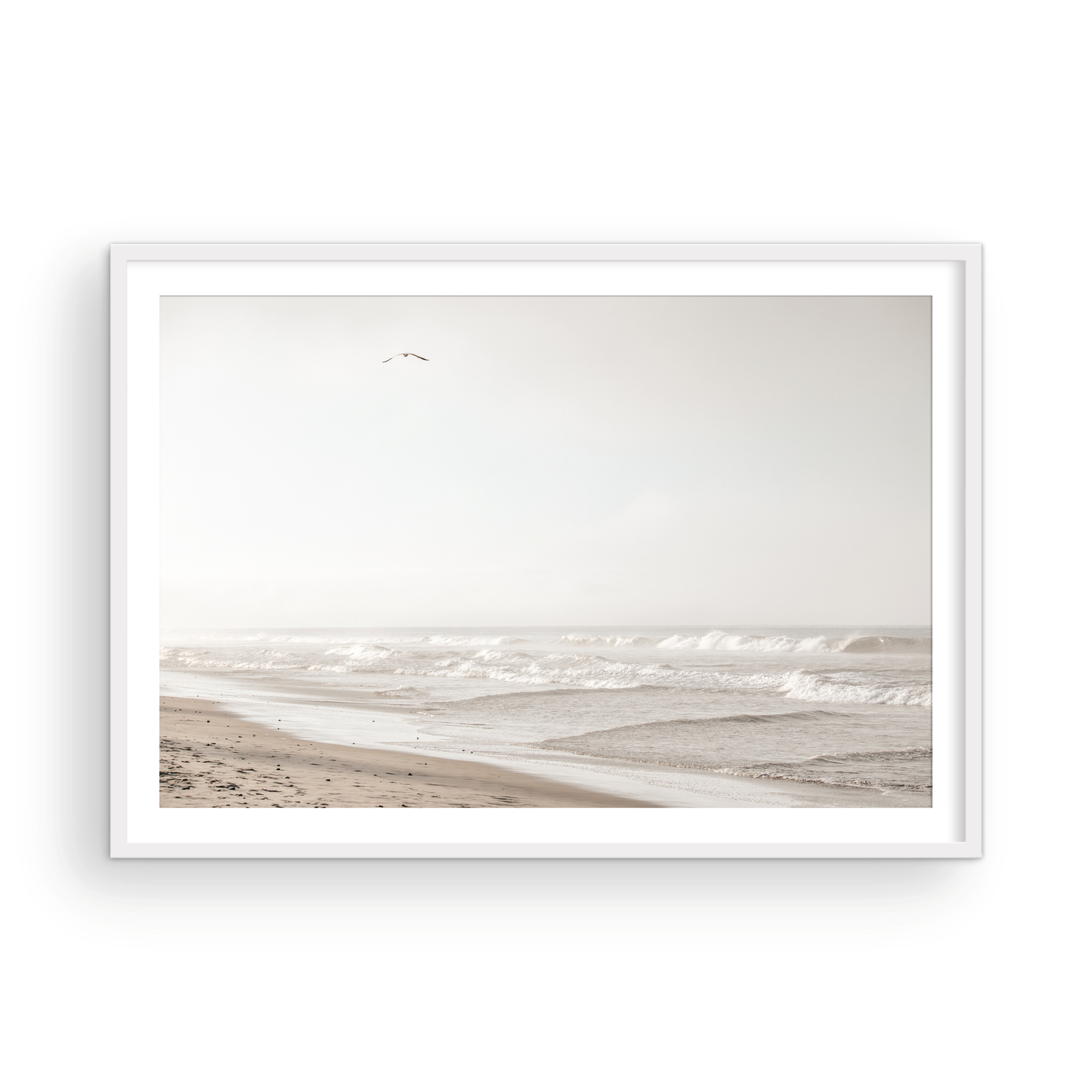 Oceanside 3005