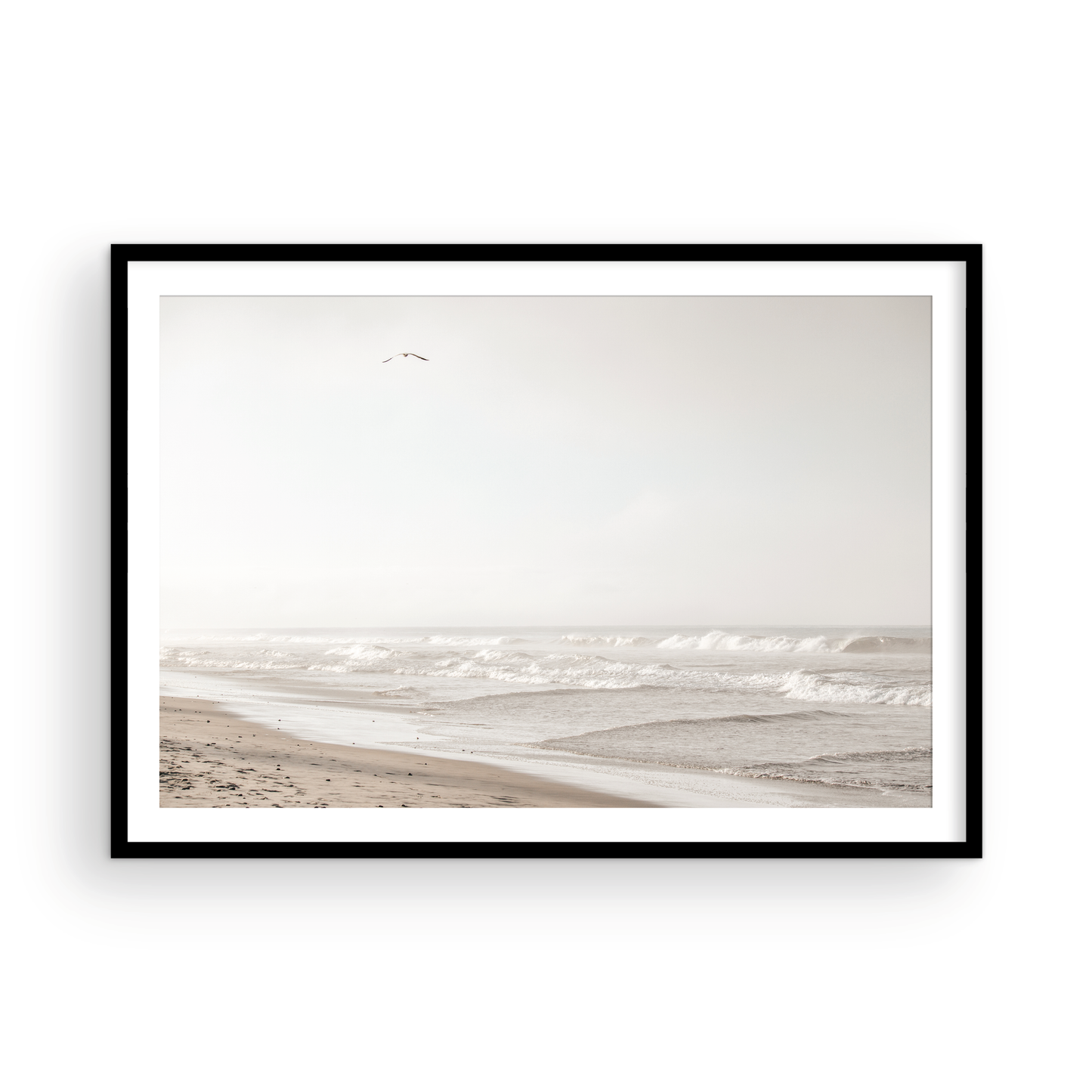Oceanside 3005