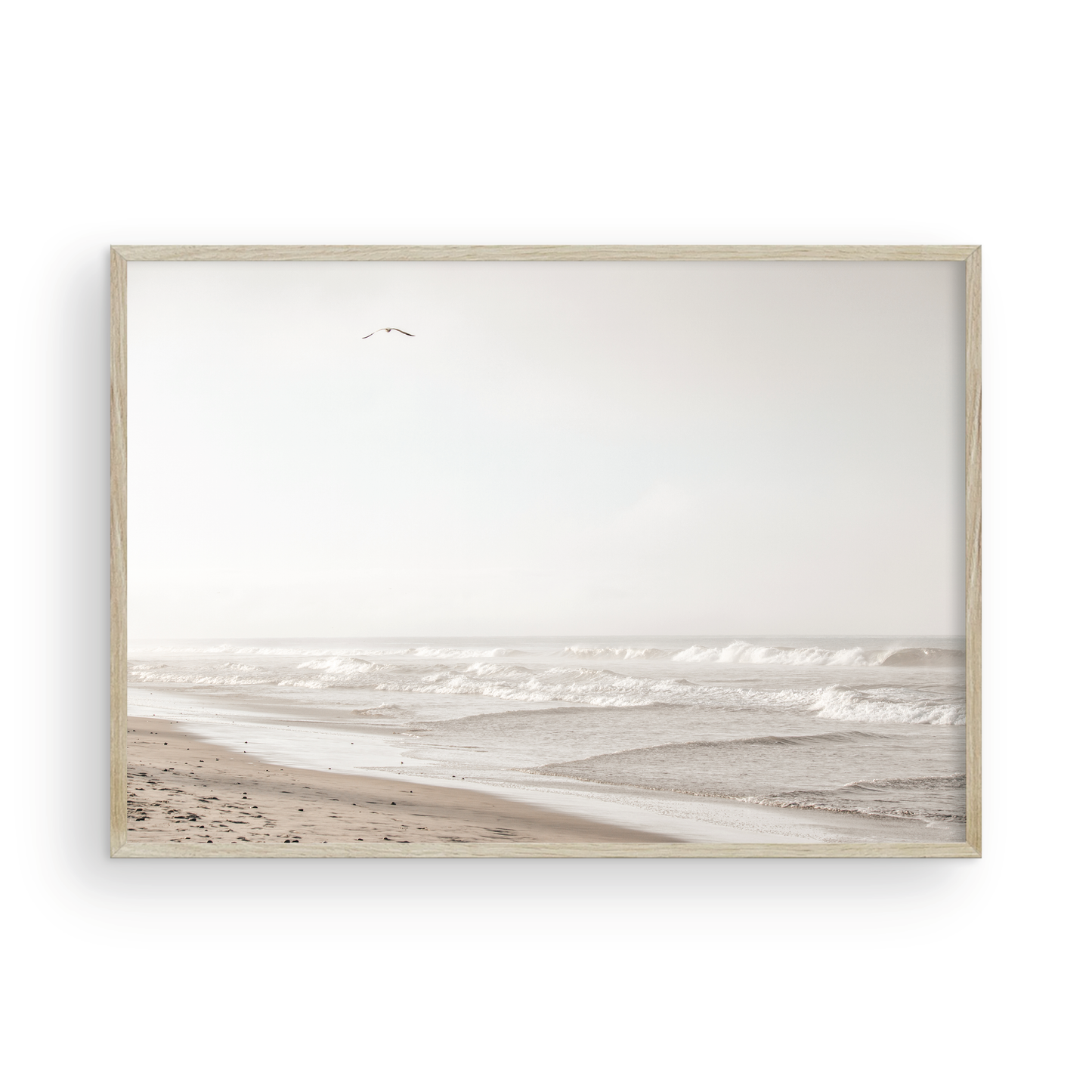 Oceanside 3005