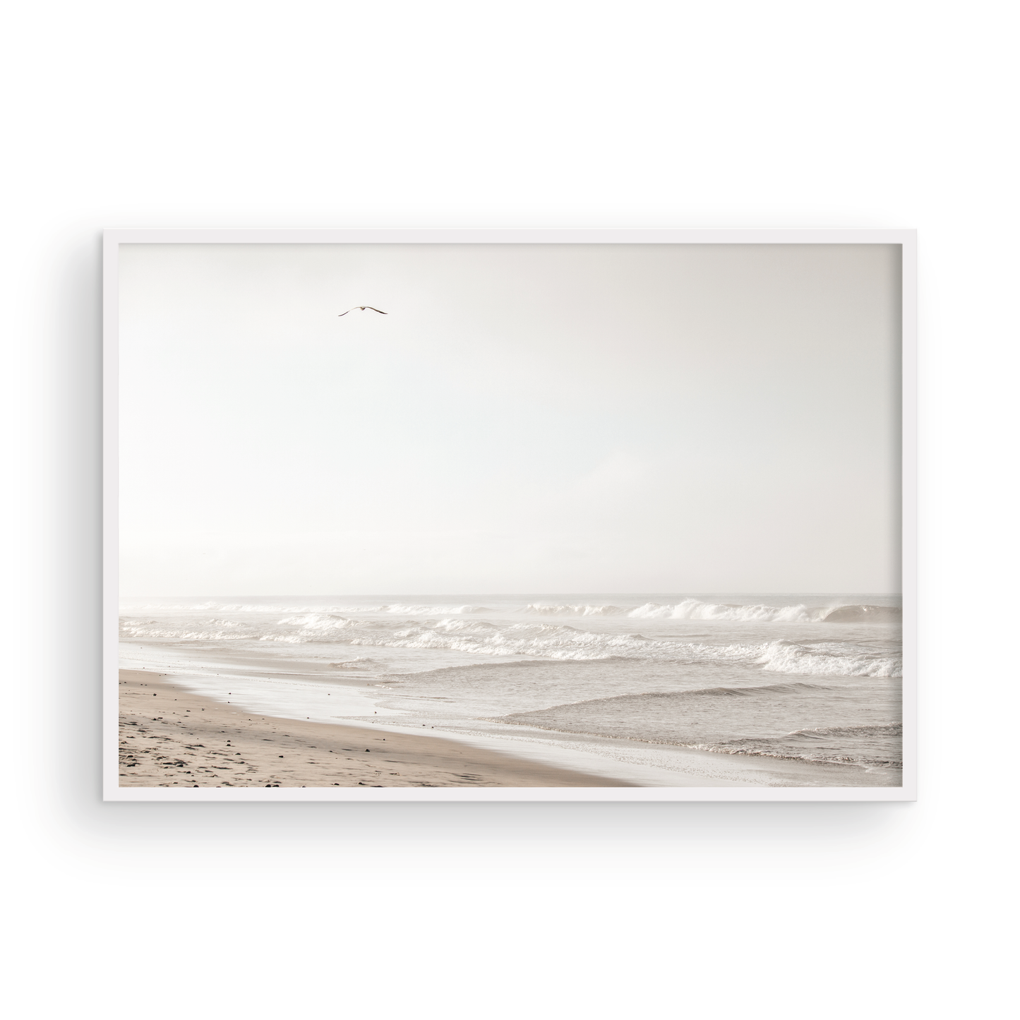 Oceanside 3005