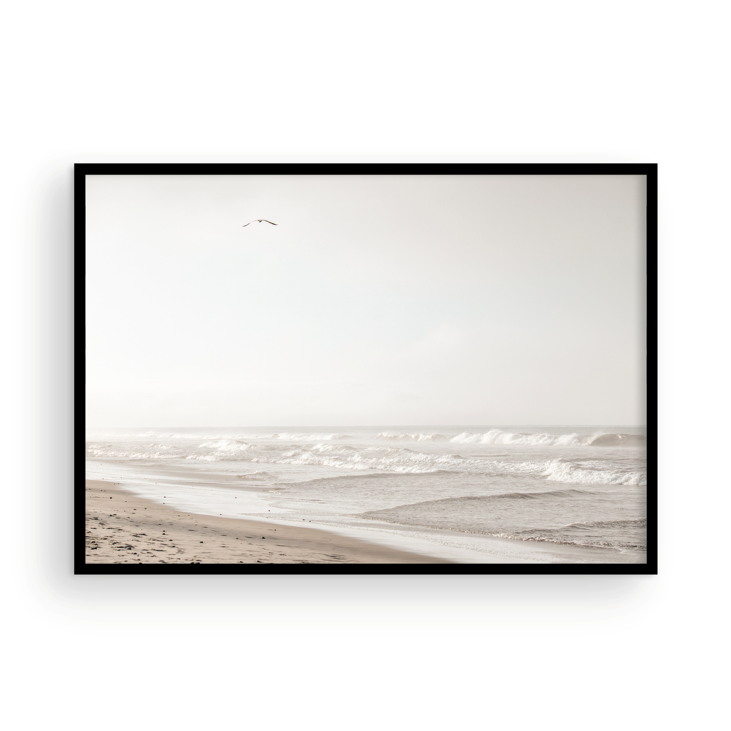 Oceanside 3005