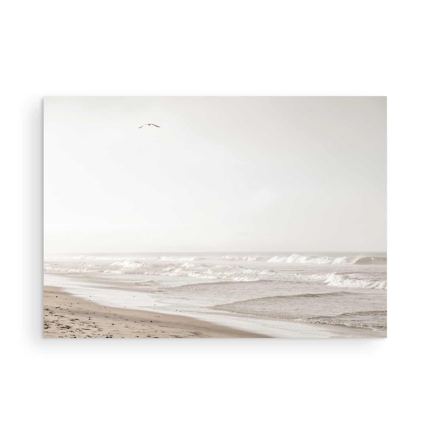 Oceanside 3005