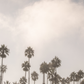 Oceanside 3014