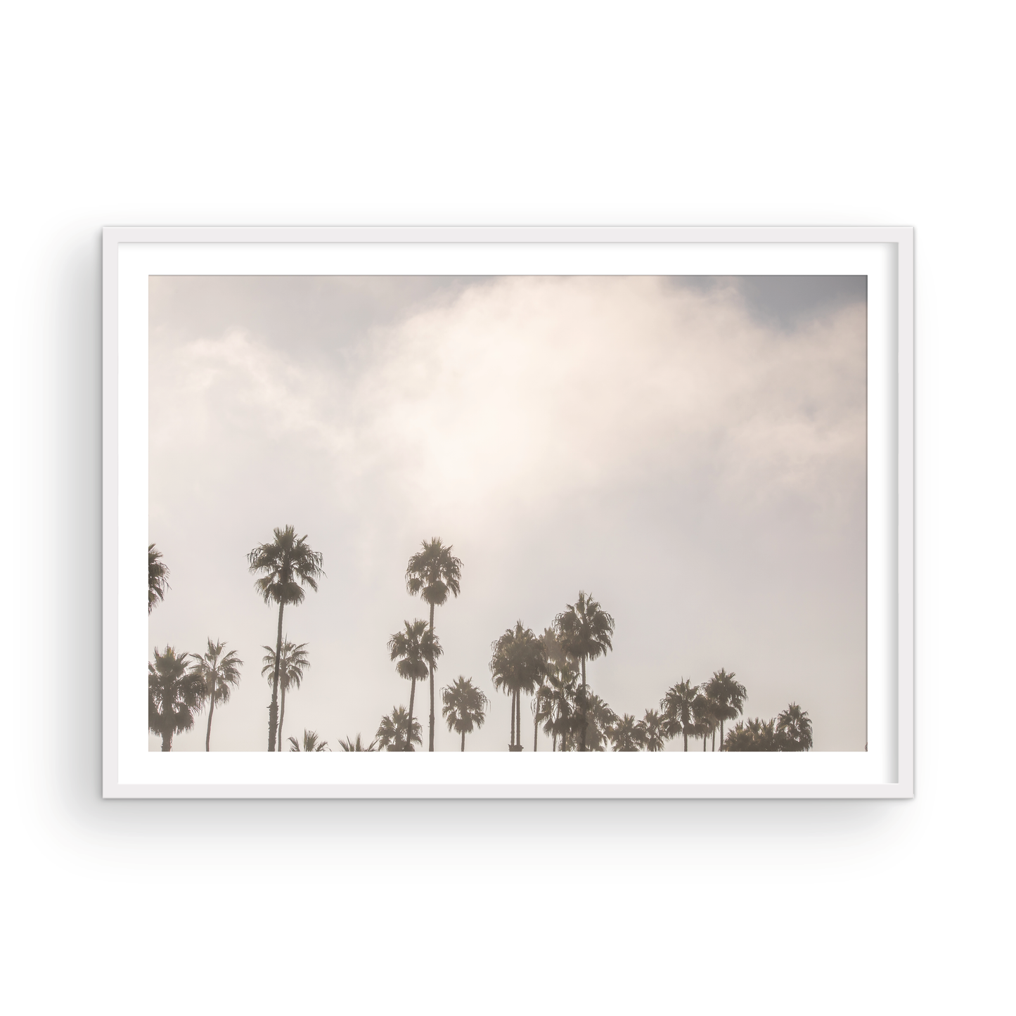 Oceanside 3014