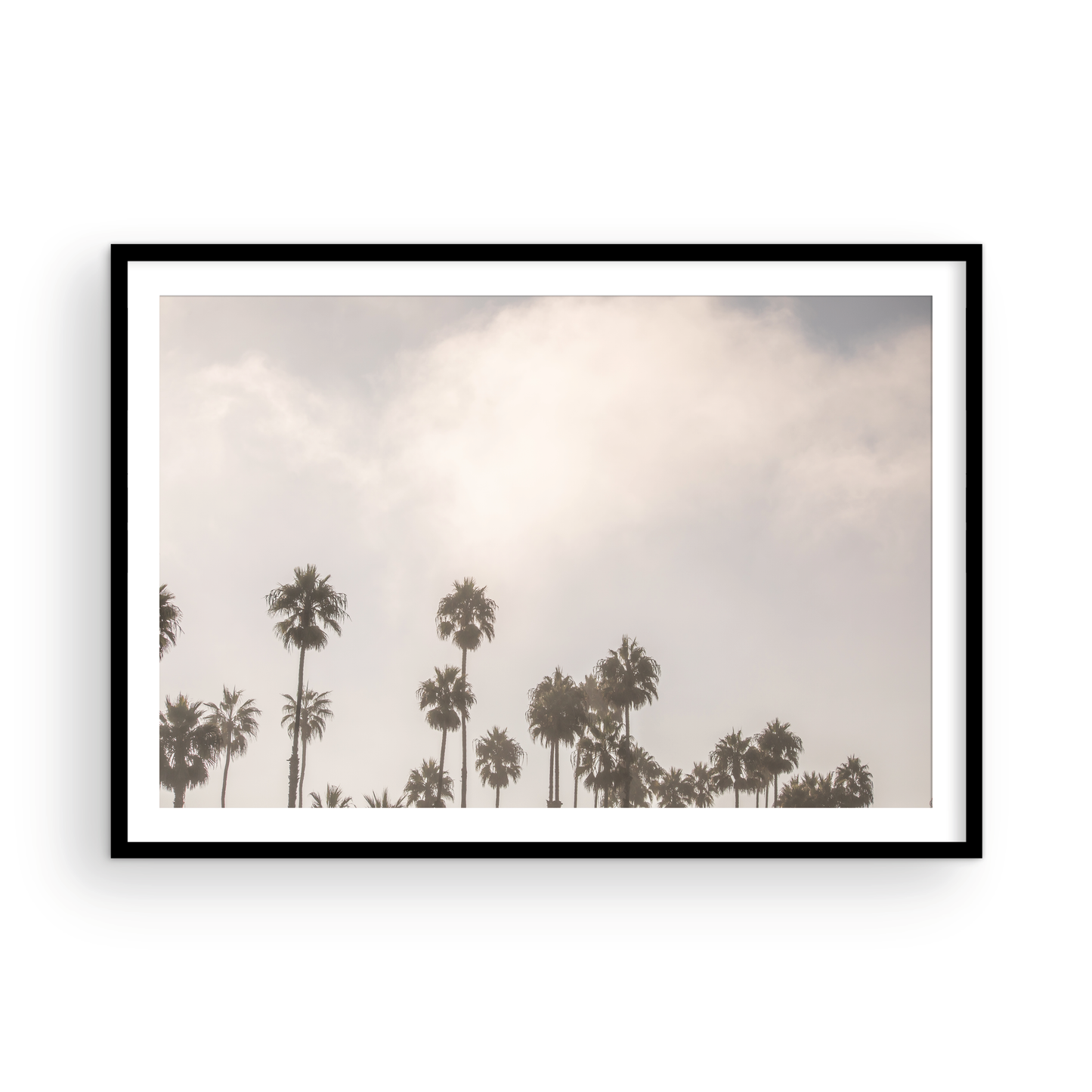 Oceanside 3014