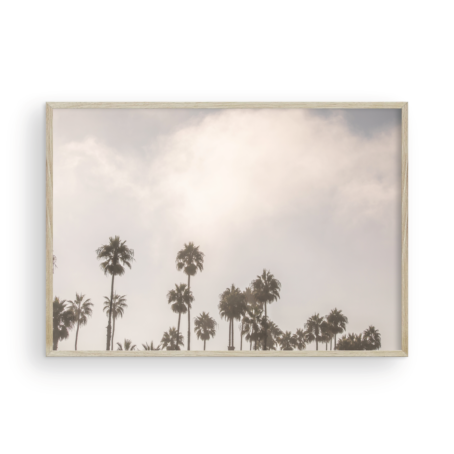 Oceanside 3014