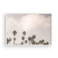 Oceanside 3014