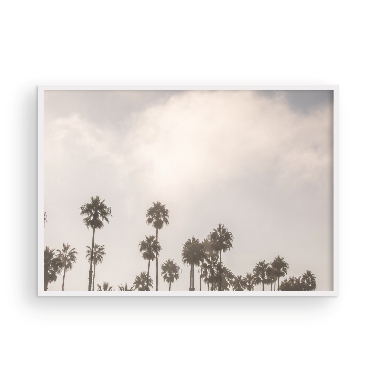 Oceanside 3014
