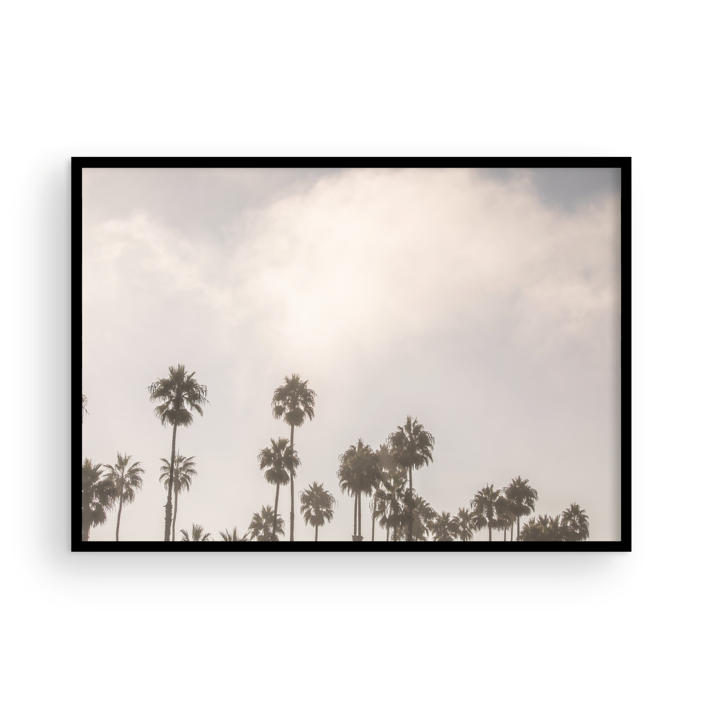 Oceanside 3014