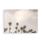 Oceanside 3014