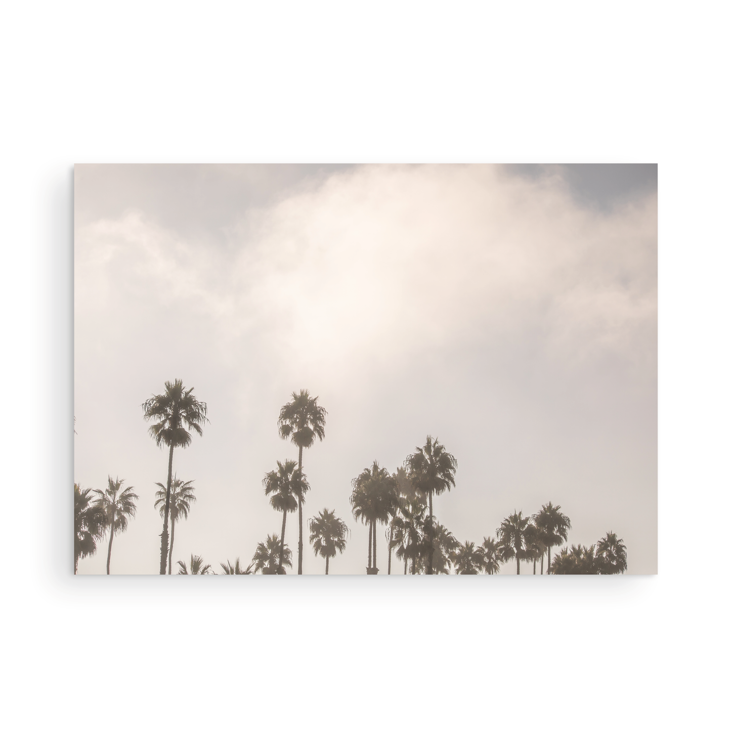 Oceanside 3014