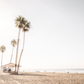 Oceanside 3039