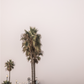 Oceanside 3160