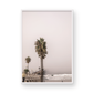 Oceanside 3160