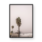 Oceanside 3160