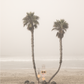 Oceanside 3170