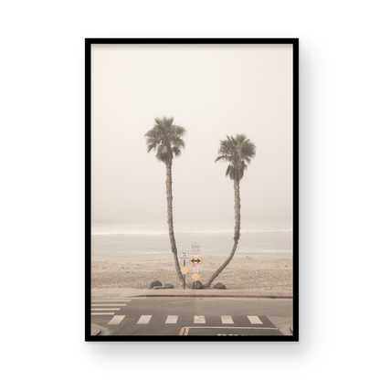 Vertical coastal photography of two leaning palm trees on a hazy Oceanside beach, with ocean waves in the background and a crosswalk in the foreground. Photograph in minimalist mock up.