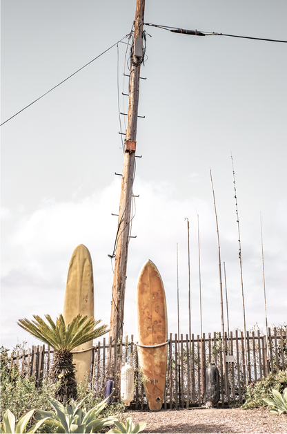 Old Surfboards 6377