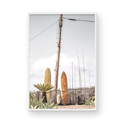 Old Surfboards 6377