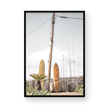 Old Surfboards 6377