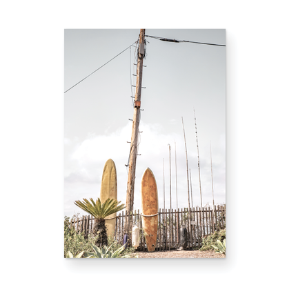 Old Surfboards 6377