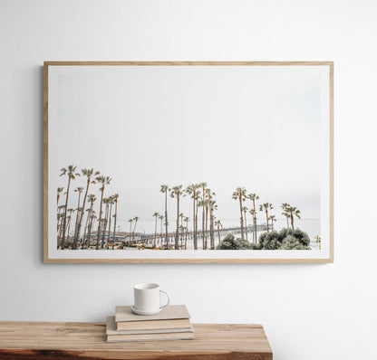 Horizontal landscape coastal photography of many palm trees in the foreground, with the San Clemente Pier extending into the ocean in the background. This large landscape beach art conveys strong beach vibes. Photograph in minimalist mock up.