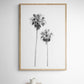 Palms 4850