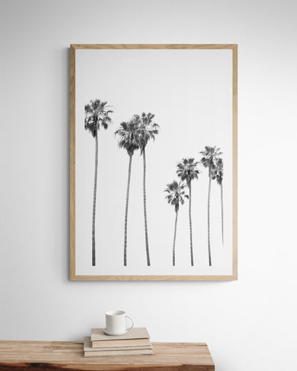 Minimalist palm tree print in black and white, showcasing a line of tall palm trees against a bright background. This vertical wall art is a coastal palm tree print. Photograph in minimalist mock up.