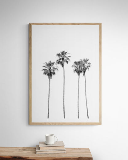 Minimalist palm tree print in black and white, showcasing a line of tall palm trees against a bright background. This vertical wall art is a coastal palm tree print. Photograph in minimalist mock up.