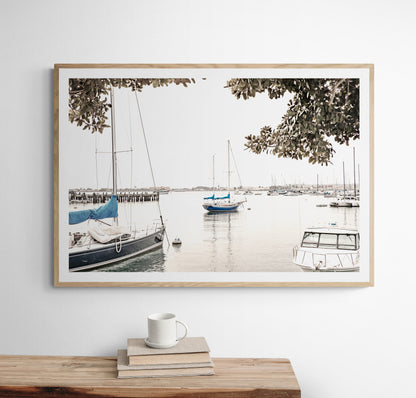 Landscape coastal photography of sailboats in San Diego Bay, framed by tree branches. This calm nautical print offers a coastal theme wall art. Photograph in minimalist mock up.