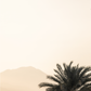 Palm Springs 2666