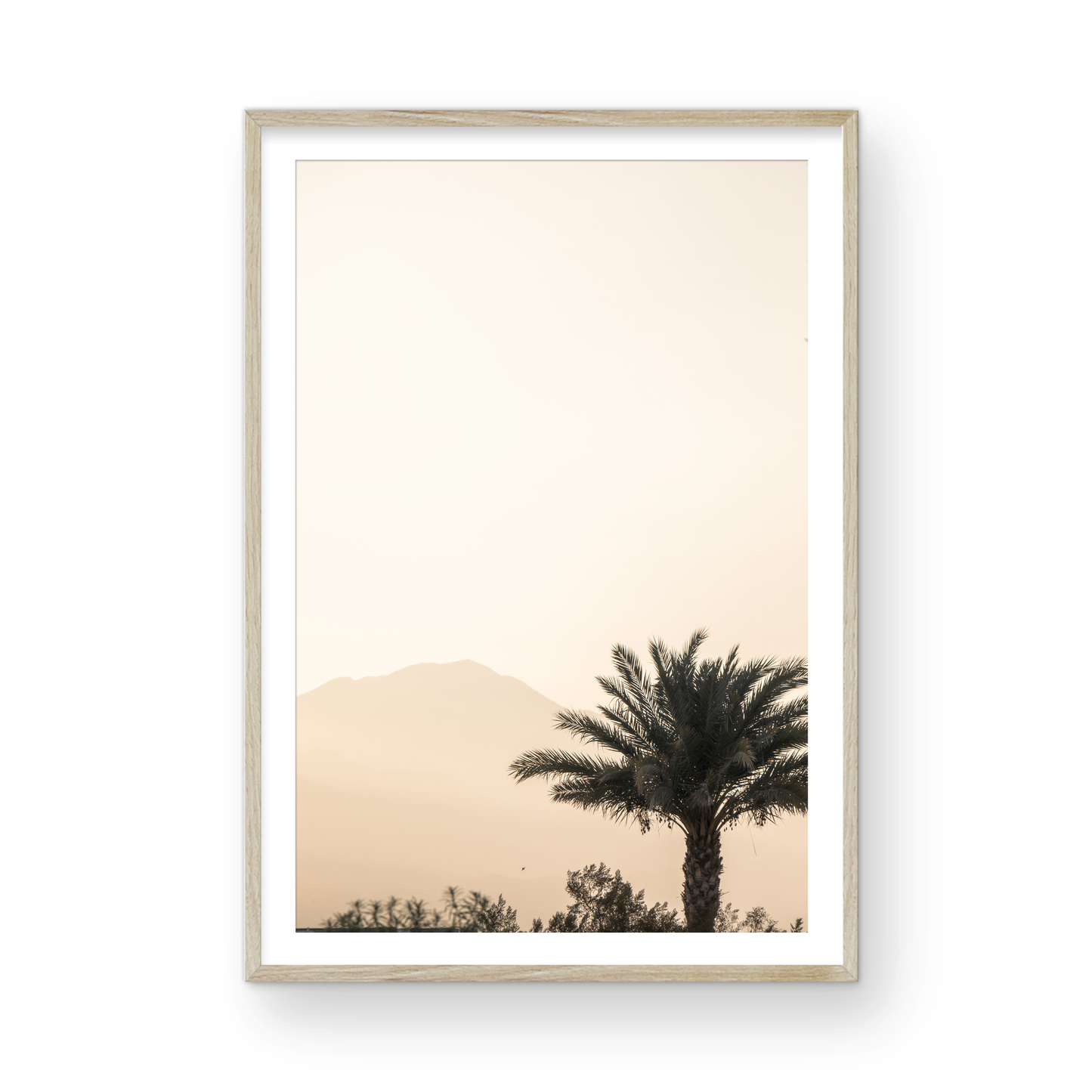 Palm Springs 2666