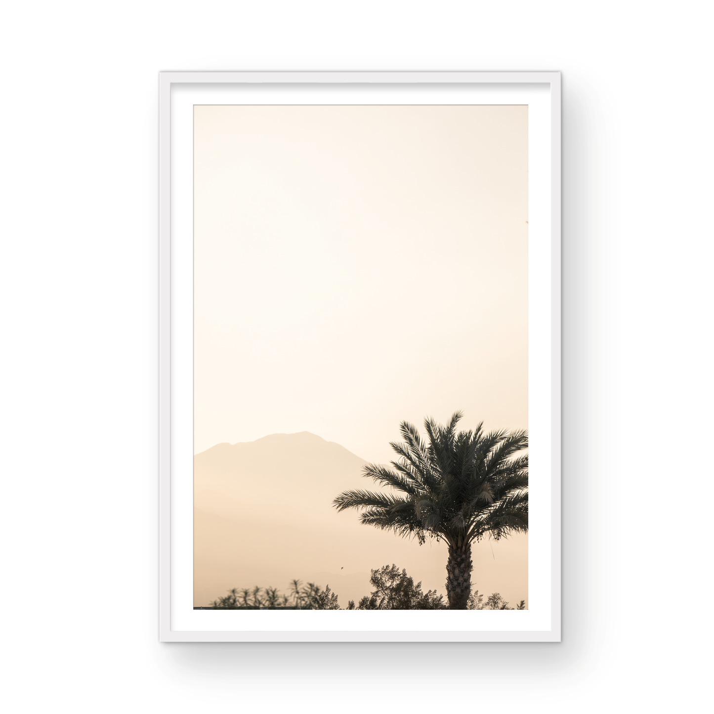 Palm Springs 2666