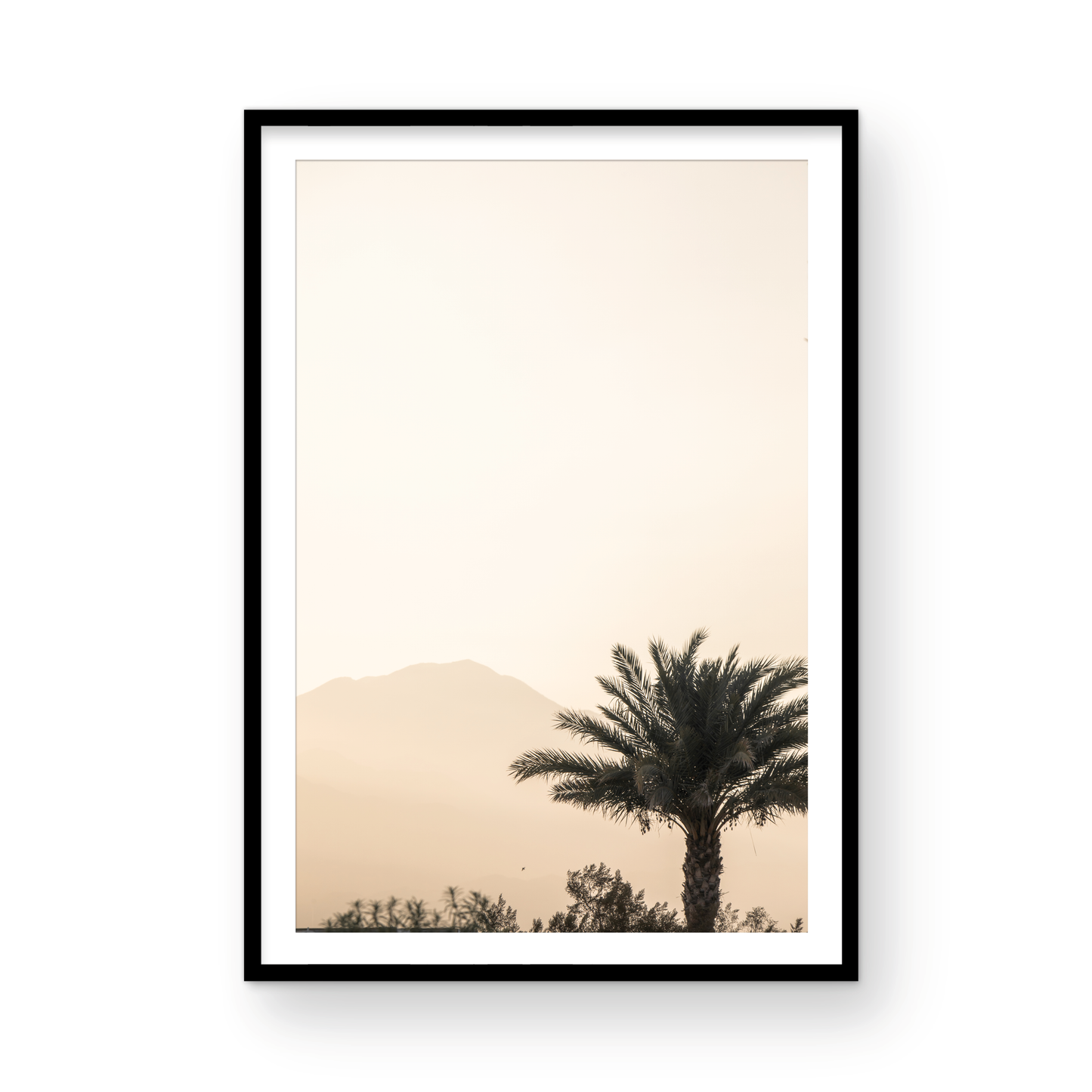 Palm Springs 2666