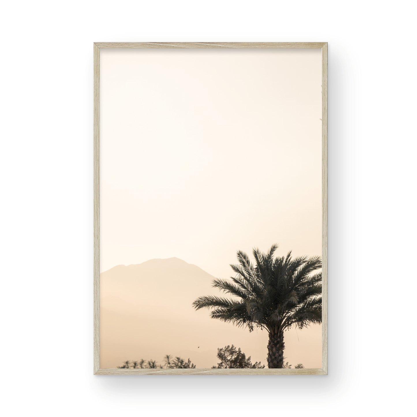 Palm Springs 2666