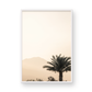 Palm Springs 2666