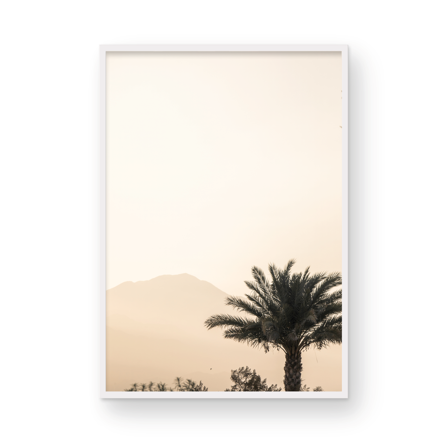 Palm Springs 2666