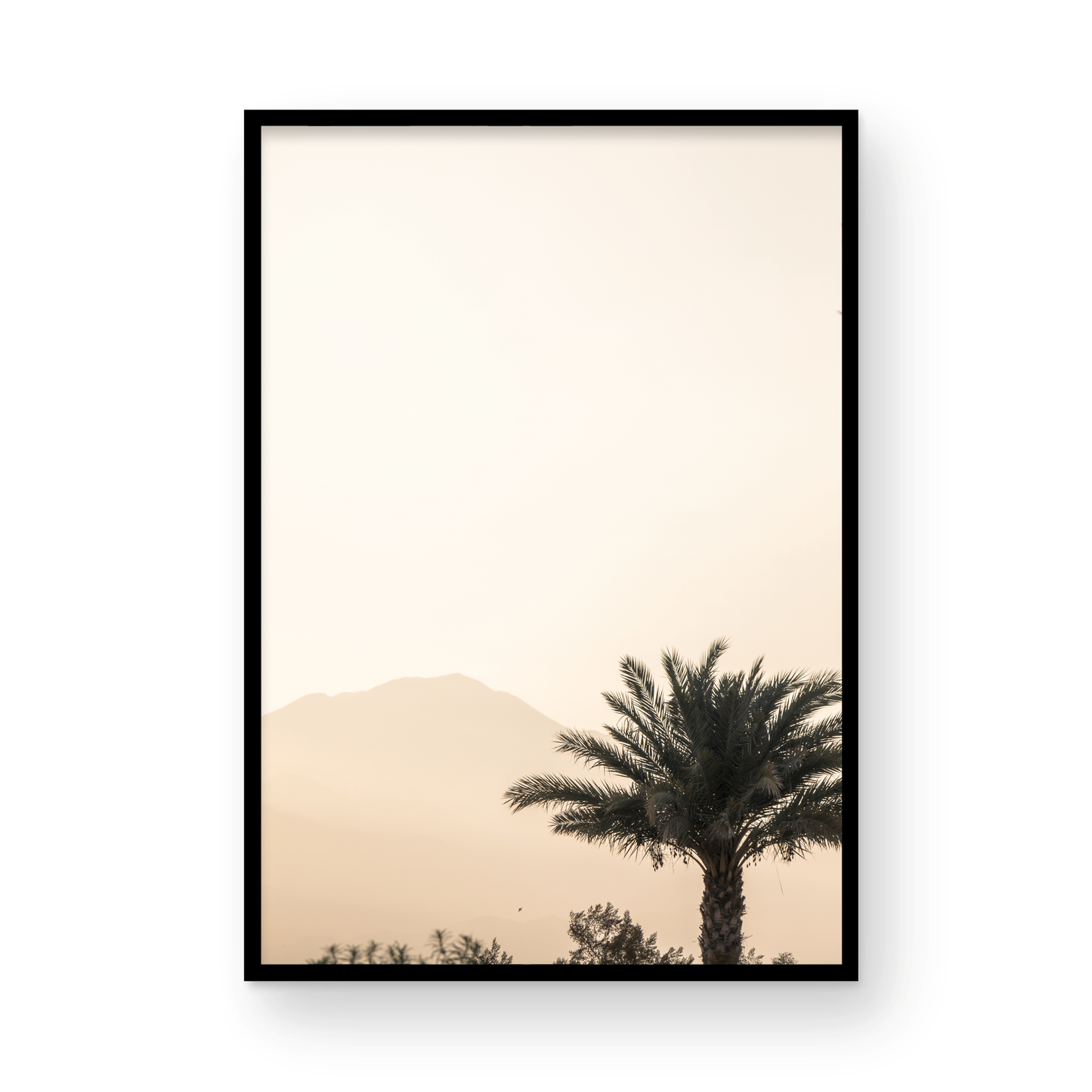 Palm Springs 2666