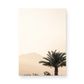 Palm Springs 2666