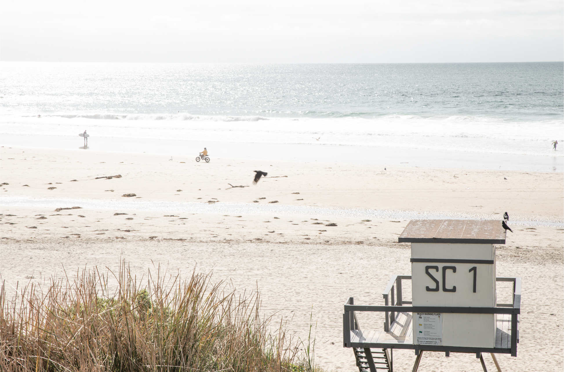 Landscape coastal photography of Salt Creek Beach Park featuring a lifeguard tower (SC 1) on the sand, with distant figures and ocean waves. This beachscape print has a calming vibe. 