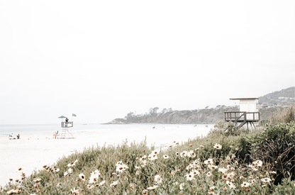 Landscape coastal photography of Salt Creek Beach Park, featuring a lifeguard tower and white flowers in the foreground, with distant cliffs. This calm beach print offers a serene coastal vibe. 