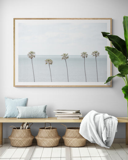Coastal Encinitas photography featuring a row of palm trees along the coastline. Photograph in minimalist mock up.