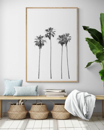 Minimalist palm tree print in black and white, showcasing a line of tall palm trees against a bright background. This vertical wall art is a coastal palm tree print. Photograph in minimalist mock up.